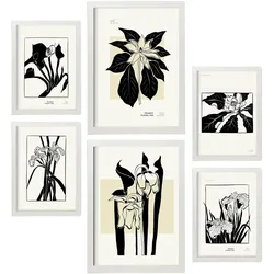 POSTER Set Mit 6 In Schwarzer Tinte Exotisch A3 & A4 Weißer Rahmen