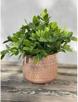 Flora Bunda "Tea Leaf in 5"" MAUVE PHARAOH footed pot - ONE-SIZE"