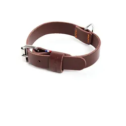 Martin Sellier 499 (35, 54, Hund, Spazieren), Halsband + Leine