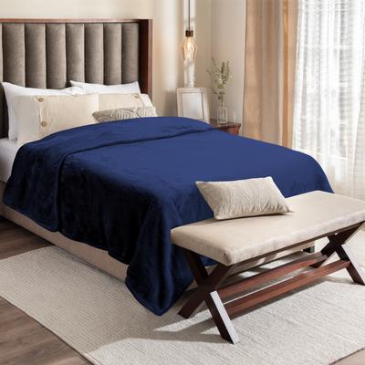 Regal Living Warm & Cozy Plush Velvet Blanket