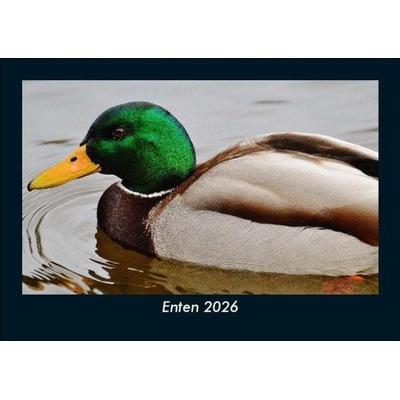 Enten 2026 Fotokalender DIN A5