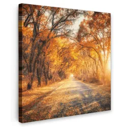 LEINWANDBILD Wald - Herbst - Bäume - Waldweg - Natur Deko Wohnzimmer 20x20 cm