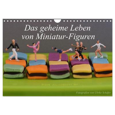 Das geheime Leben von Miniatur-Figuren (Wandkalender 2027 DIN A4 quer), CALVENDO Monatskalender