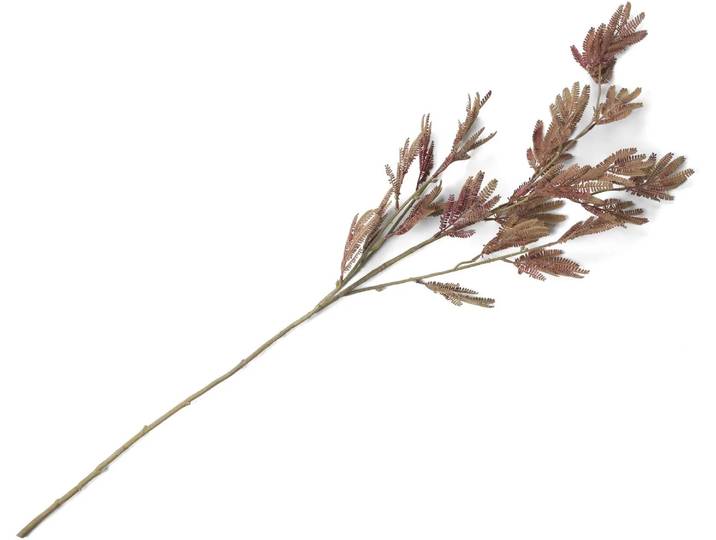 Coco Maison Mimosa Leaf Spray Kunstblume H115cm