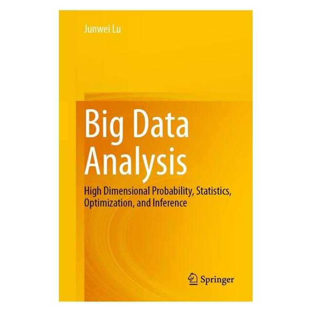 Springer Big Data Analysis (61564392)