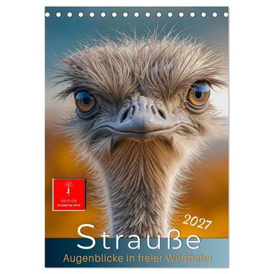 Strauße - Augenblicke in freier Wildbahn (Tischkalender 2027 DIN A5 hoch), CALVENDO Monatskalender