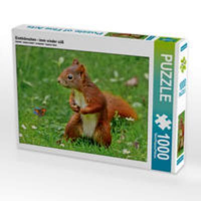 CALVENDO Puzzle Eichhörnchen - imm wieder süß 1000 Teile Lege-Größe 64 x 48 cm Foto-Puzzle Bild von N N