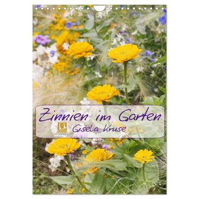 Zinnien im Garten (Wandkalender 2026 DIN A4 hoch), CALVENDO Monatskalender