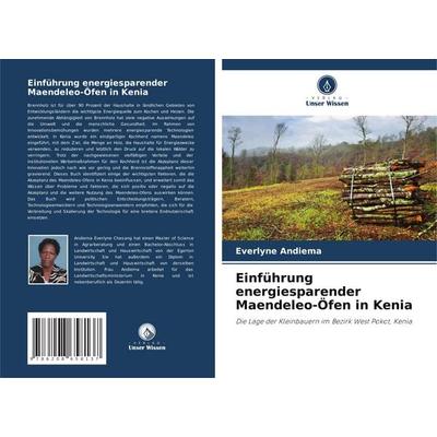 Einführung energiesparender Maendeleo-Öfen in Kenia, Taschenbuch von Everlyne Andiema, Verlag Unser Wissen, 978-620-8-65813-7