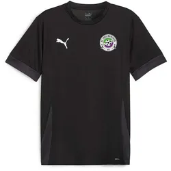 Puma teamGOAL SCL Trainingsshirt