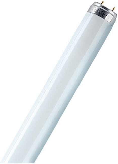 Tube fluorescent Lumilux 58W blanc chaud 5200Lm L.150cm d. du tube 26mm 20000h E ; Osram (4050300517971)