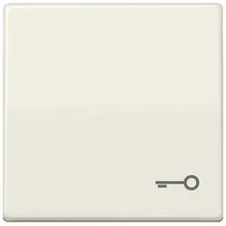 JUNG Wippe Symbol TÜR ws für Taster AS 591 T