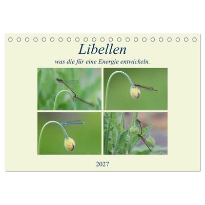 Libellen, was die für eine Energie entwickeln. (Tischkalender 2027 DIN A5 quer), CALVENDO Monatskalender