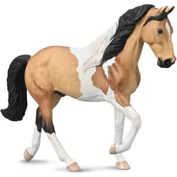 Collecta Tennessee-Hengst, Tobiano, hirschfarben