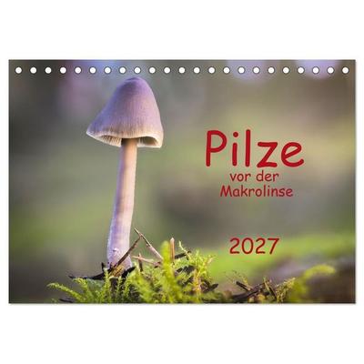 Pilze vor der Makrolinse 2027 (Tischkalender 2027 DIN A5 quer), CALVENDO Monatskalender