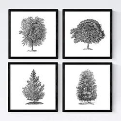POSTER Set mit 4 Blättern der Baumstamm in halber weiß 20x20cm Schwarzer Rahmen