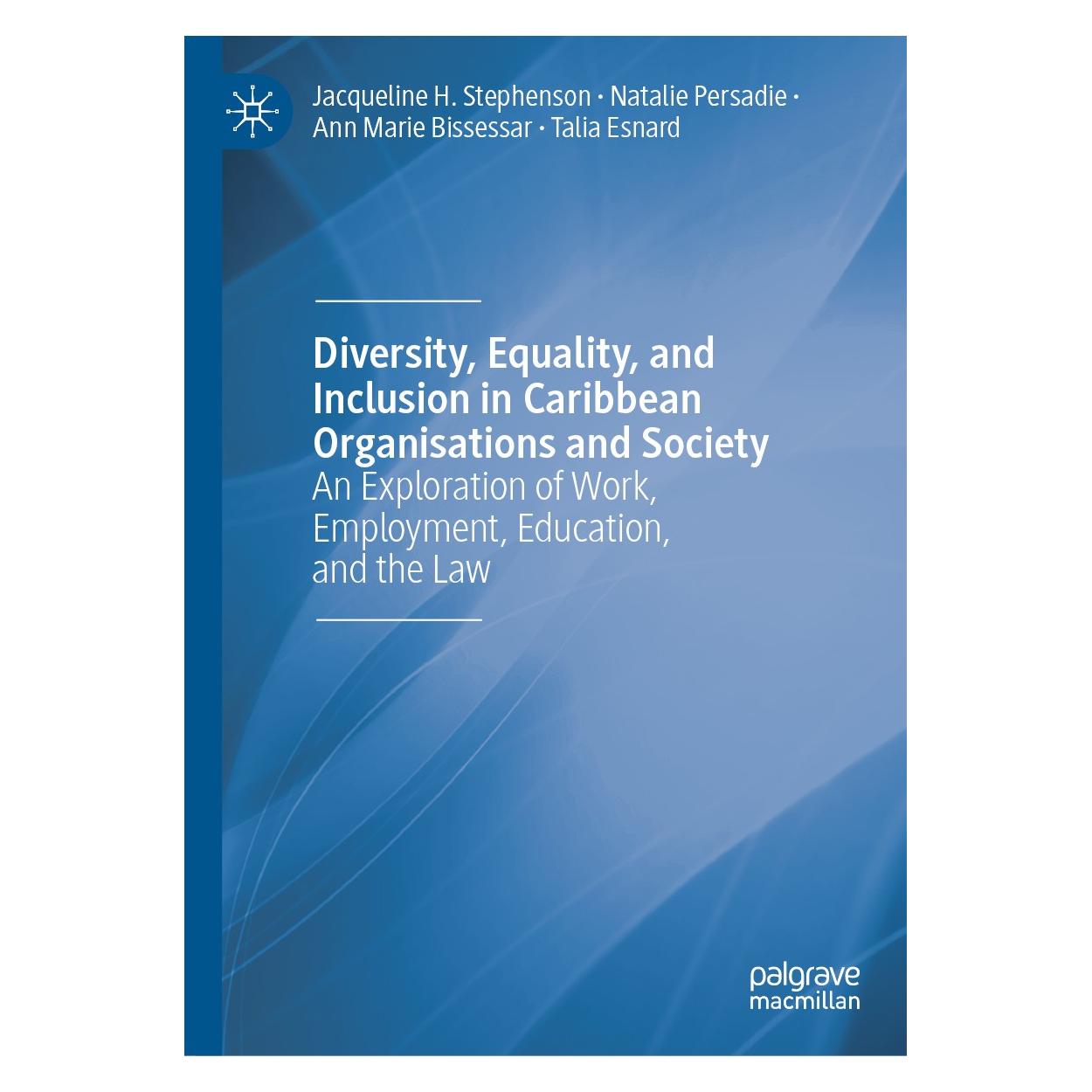 Springer Stephenson:Diversity, Equality, and Inc (9783030476137)
