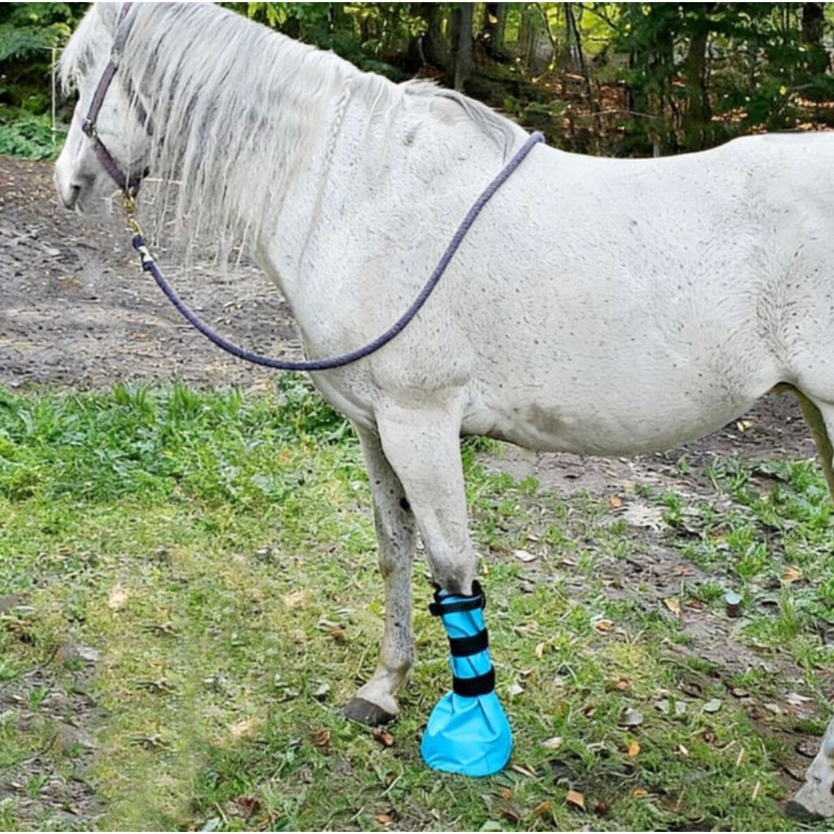 INF Sac de trempage en nylon pour sabots - Traitement de la pourriture de la fourchette, sac de trempage équin compatible avec Bleu