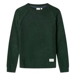 Pepe Jeans Unisex für Kinder. PB7000025 Pullover Callum grün (10años= 140cm), Lässig, Baumwolle, Kinderbekleidung