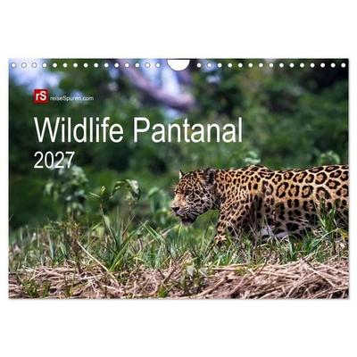 Wildlife Pantanal 2027 (Wandkalender 2027 DIN A4 quer), CALVENDO Monatskalender