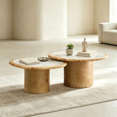 Modern 2-Piece Coffee Table Set with Pedestal Base, Sintered Stone Tops and Rounded Edges by GDFStudio