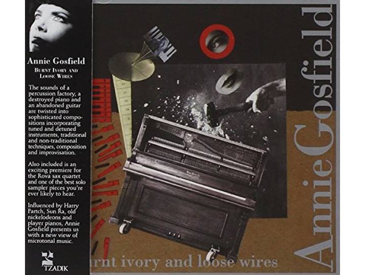Annie Gosfield - Burnt Ivory And Loose Wir