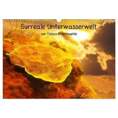 Surreale Unterwasserwelt (Wandkalender 2027 DIN A3 quer), CALVENDO Monatskalender