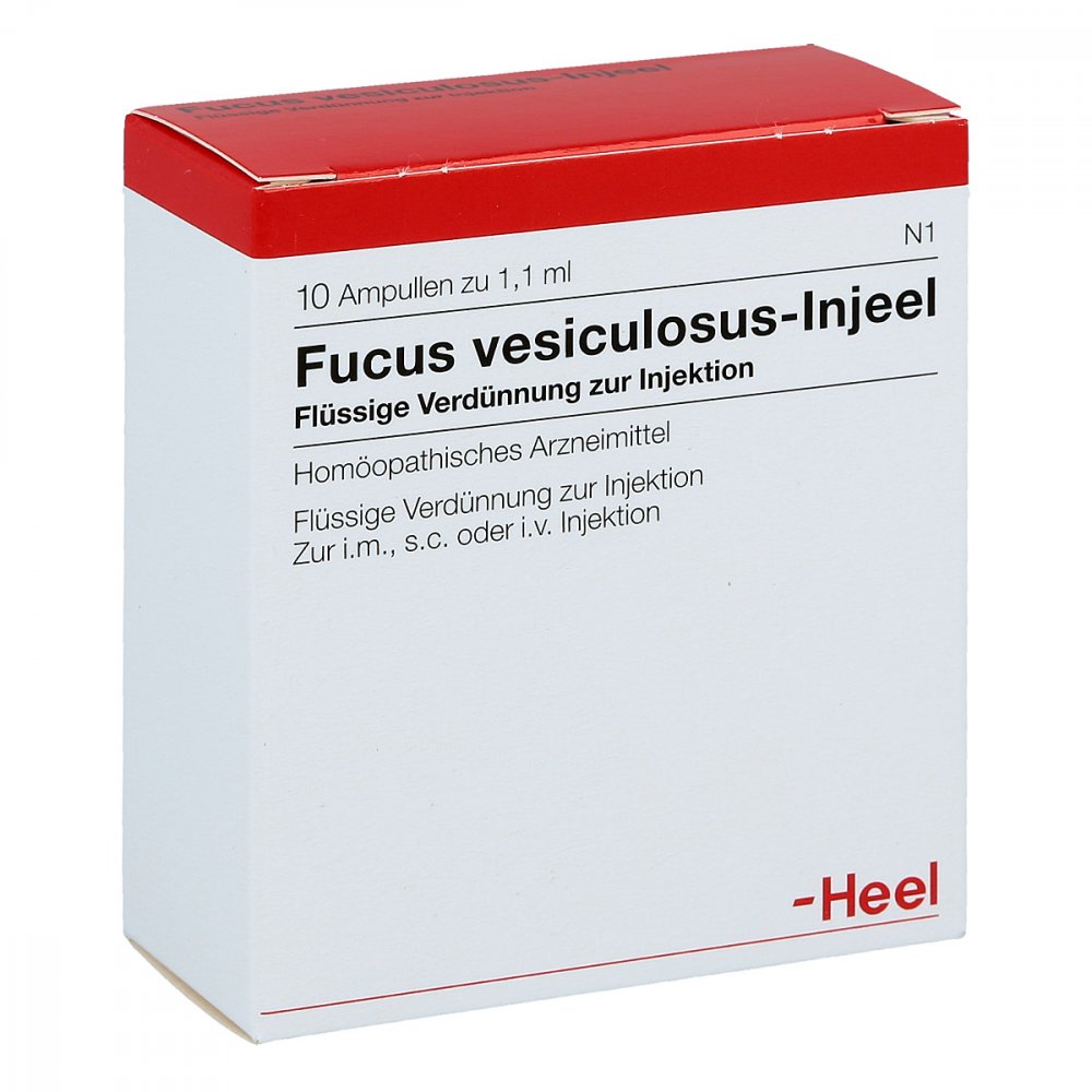 Biologische Heilmittel Heel GmbH Fucus Vesiculosus Injeel Ampullen 00400805