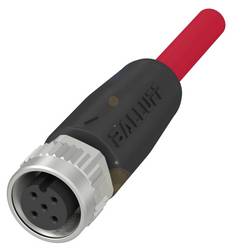 BALLUFF Steckverbinder/Verbindungskabel - BCC06Y3, 1 St.