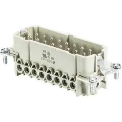 Wieland BAS STS 16 2,5 50 Steckereinsatz-BAS STS 16 2,5 50 BASSTS162550, Elektronikkabel + Stecker