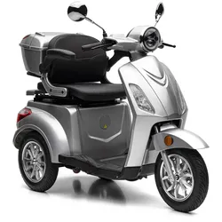 Nova Motors Bendi silber 20 km/h 1 x 20Ah Akkupack, Gehstockhalter