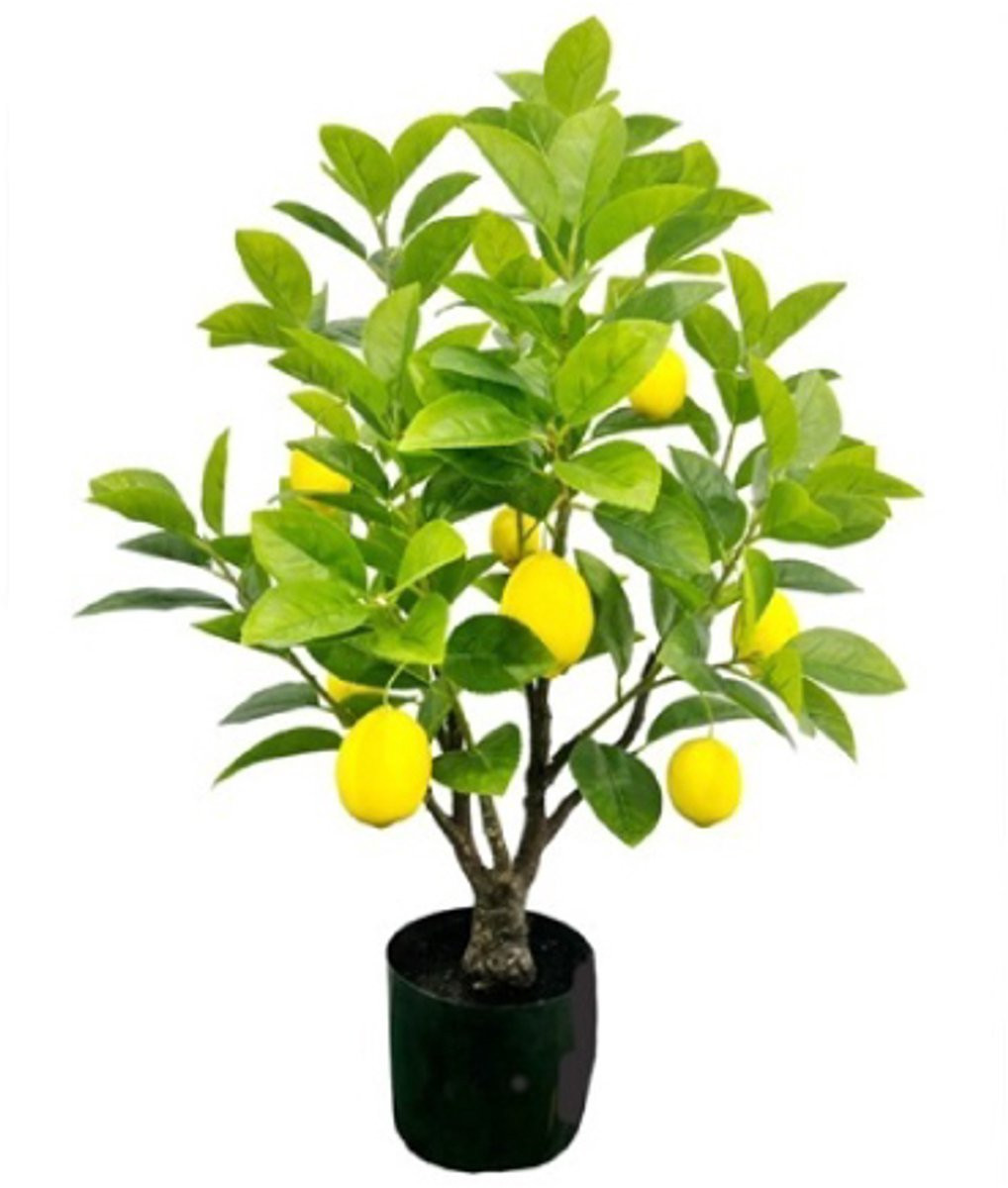 Kunstplant Citroenboom 80 cm