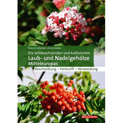 Die wildwachsenden und kultivierten Laub- und Nadelgehölze Mitteleuropas, Taschenbuch von Peter A. Schmidt,Ulrich Hecker, Quelle & Meyer,