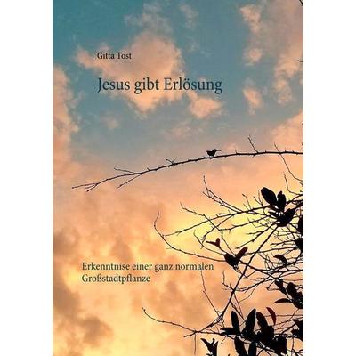 Jesus gibt Erlösung, Taschenbuch von Gitta Tost, BoD – Books on Demand, 978-3-7460-8178-6