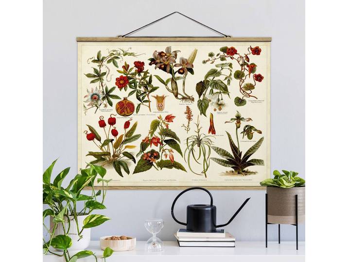 Tableau déco Planche Tropiques II Tissu Multicolore 50 x 38cm