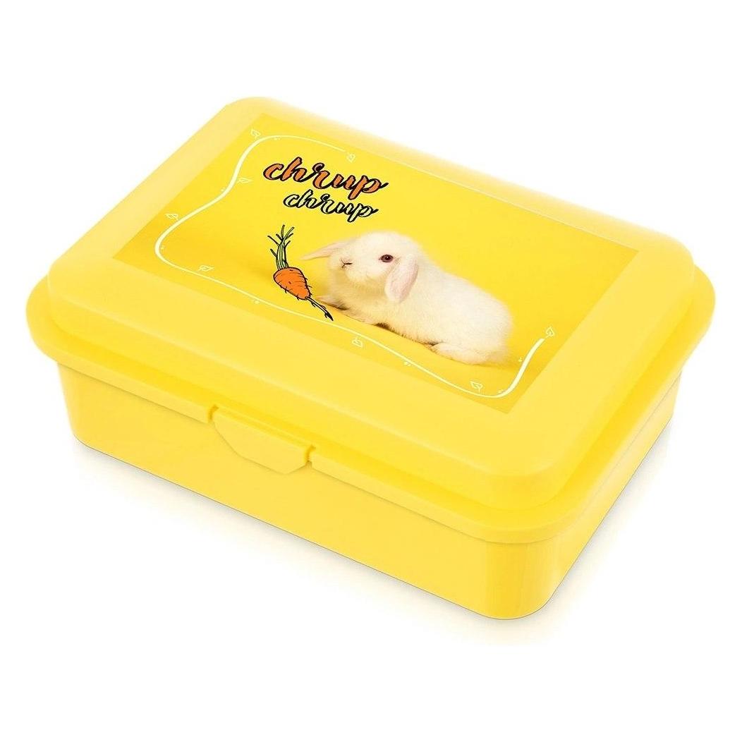 Patio Frühstücks-Lunchbox 750 ml ORION, spülmaschinen- und mikrowellengeeignet, 18 x 13 cm (64821471)
