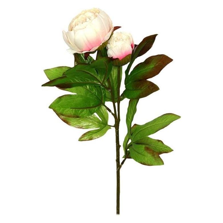 Domoletti ARTIFICIAL FLOWER PEONY 8025.10 WH (68 cm) (56660218)