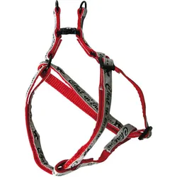 Martin Sellier M'Enerv (Katze, Allgemein), Halsband + Leine