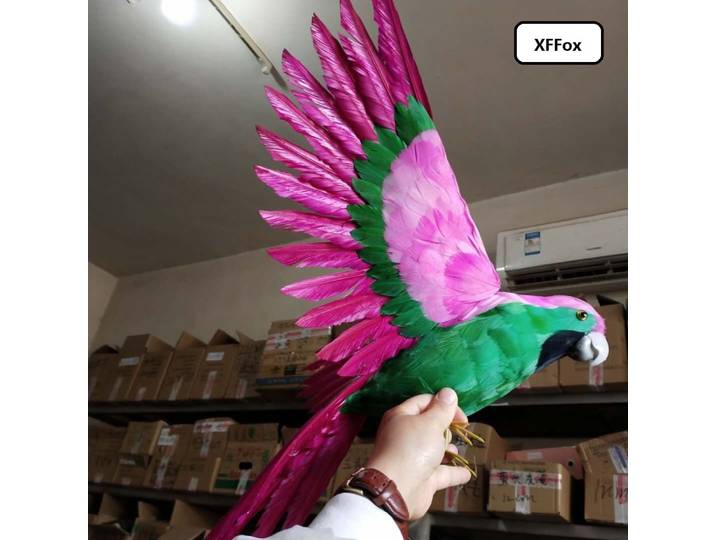 Modèle de perroquet rose et vert en mousse et plumes, ailes de oiseau, cadeau, environ 42x60cm, d0184