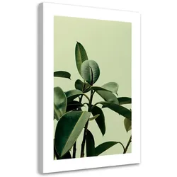 WANDBILD grünpflanze natur