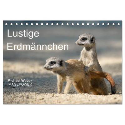 Lustige Erdmännchen (Tischkalender 2027 DIN A5 quer), CALVENDO Monatskalender
