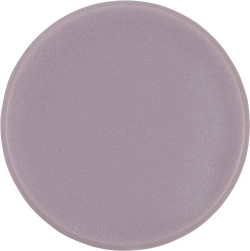 Magnetoplan Magnet Basic Serie (Ø) 24mm rund Grau 10 St. 1862401