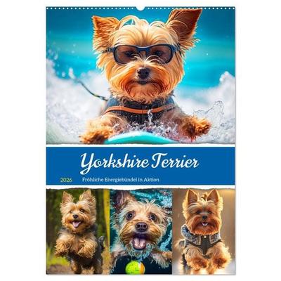 Yorkshire Terrier. Fröhliche Energiebündel in Aktion (Wandkalender 2026 DIN A2 hoch), CALVENDO Monatskalender
