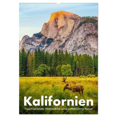Kalifornien - Traumstrände, Weltstädte und unberührte Natur (Wandkalender 2027 DIN A2 hoch), CALVENDO Monatskalender