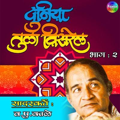Duniya Tu la Visarel Vol 2 - Va Pu Kale, Audio, 9789352841950