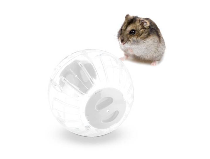 Relaxdays Boule de hamster avec couvercle blanc