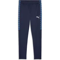 Puma, Herren, Sporthose, teamLIGA26 Training Pants (S), Blau