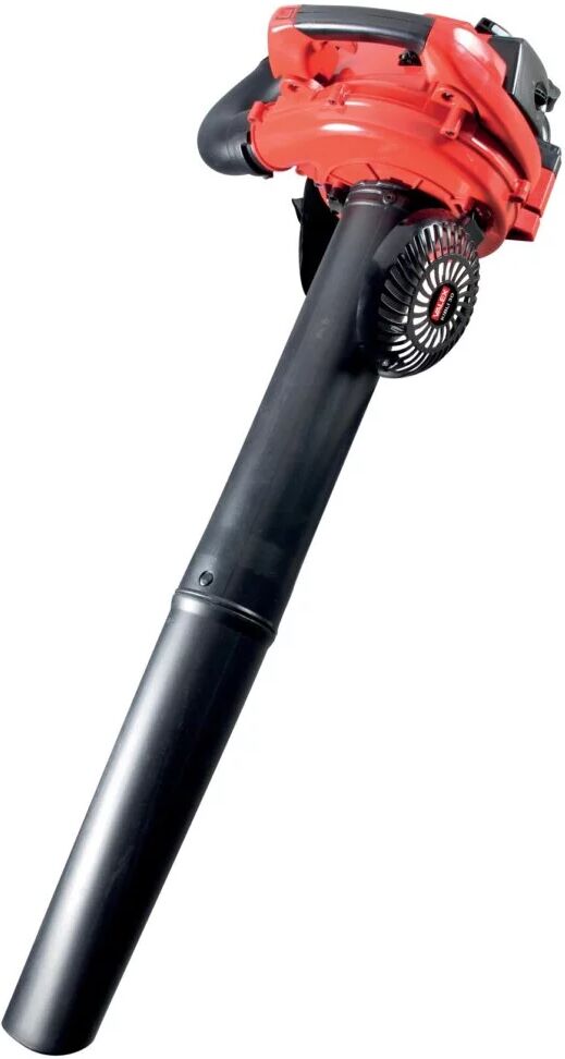 Valex ASPIRATORE SOFFIATORE SCOPPIO KIBLI 30