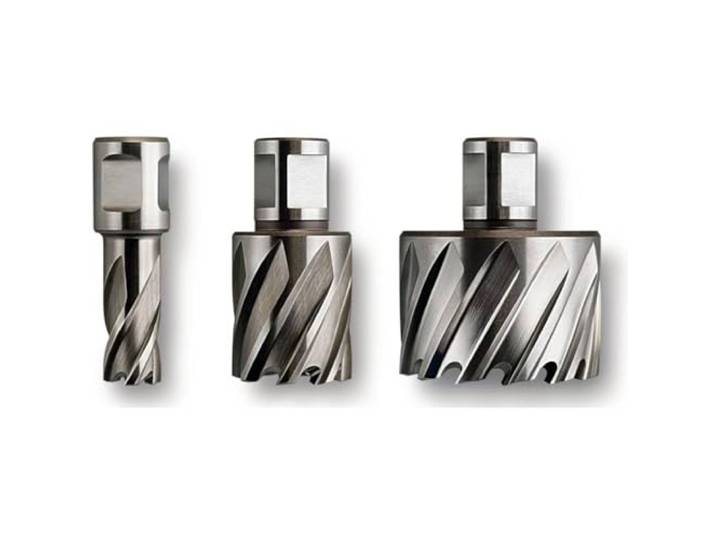 FEIN 63134200051\, Fraise HSS Nova\, 25\, emmanchement QuickIN\, Ø20x25 mm\, en Acier\, pour une coupe précise et efficace\, Fraise à Haute Vitesse\, Accessoire Outil de Coupe\, pour tous types de supports