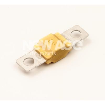 NEW AGE Sicherung 253/60A
